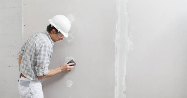 Best Airborne Mold Testing  in Pekin, IL