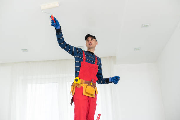 Best Post-Remediation Verification Testing  in Pekin, IL