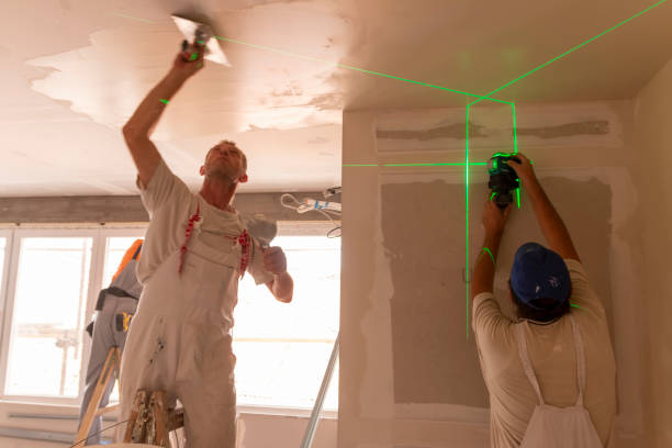  Pekin, IL Mold Removal Pros